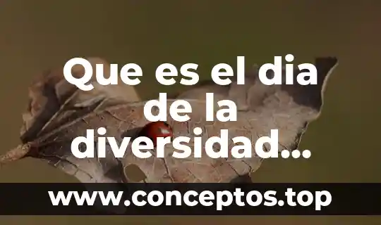 Que es la diversidad cultural definición 5 Que es el dia de la diversidad cultural