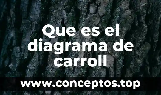 Que es el diagrama de carroll