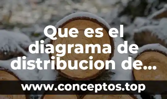 Que es el diagrama de distribucion de una empresa concepto