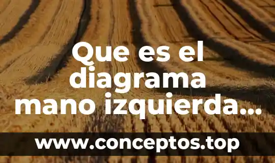 Que es el diagrama mano izquierda mano derecha