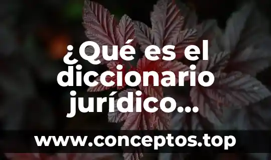 ¿Qué es el diccionario jurídico mexicano?