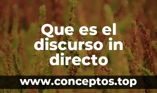Que es el discurso in directo