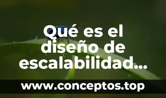 Qué es el diseño de escalabilidad de una red LAN
