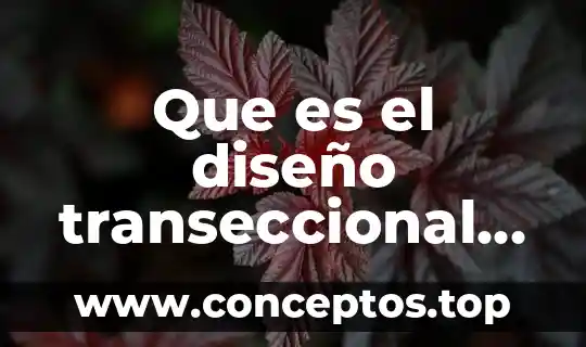 Que es el diseño transeccional segun autores