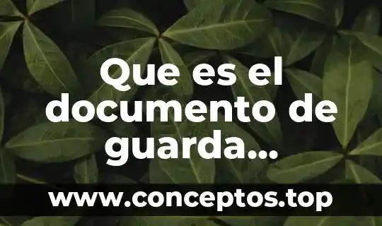 Que es el documento de guarda custodia almacen