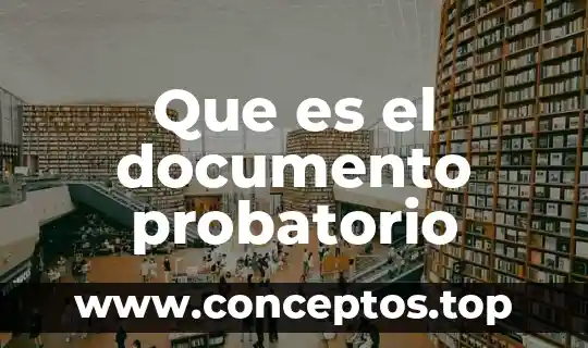 Que es el documento probatorio