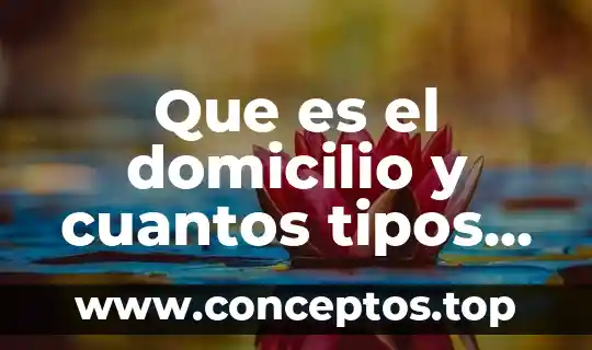 Que es el domicilio y cuantos tipos hay