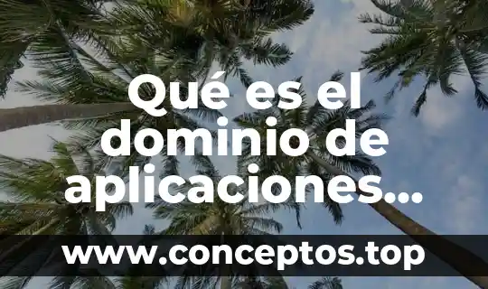 Que es un sistema de nombre de dominio 6 Qué es el dominio de aplicaciones web