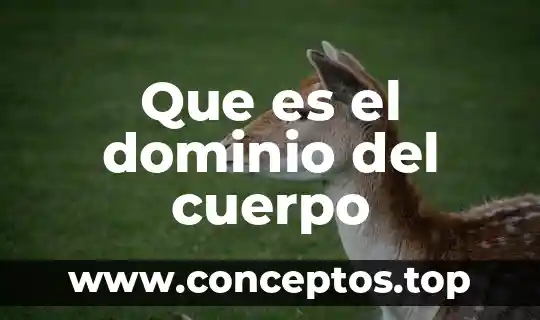 Que es el dominio del cuerpo
