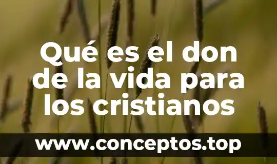 Qué es el don de la vida para los cristianos