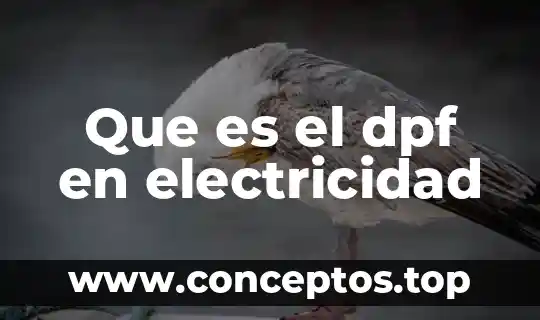 Que es el dpf en electricidad