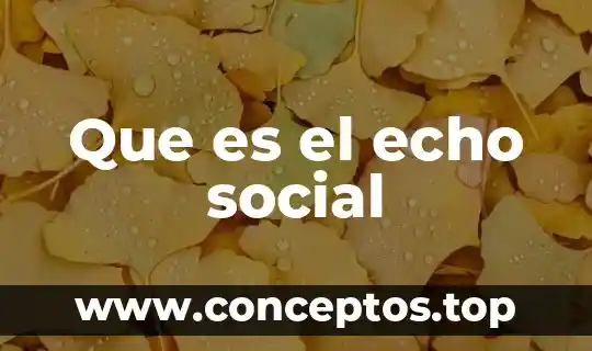 Que es el echo social