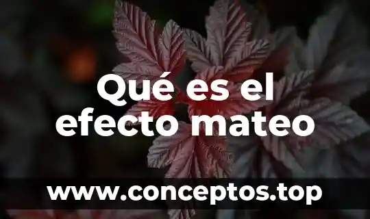 Qué es el efecto mateo