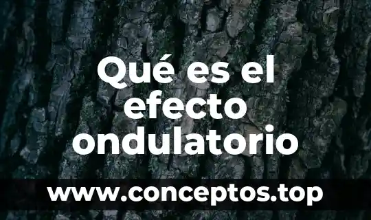 Que es ell movimiento ondulatorio 4 Qué es el efecto ondulatorio