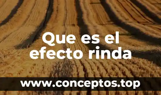 Que es el efecto rinda