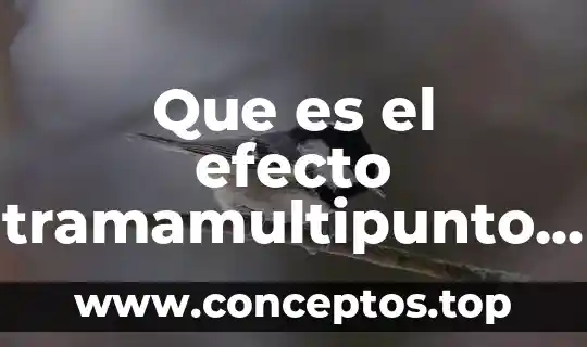 Que es el efecto tramamultipunto en la fotografia
