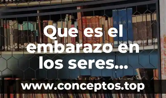 Que es el embarazo en los seres humanos