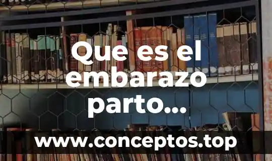 Que es el embarazo parto puerperio