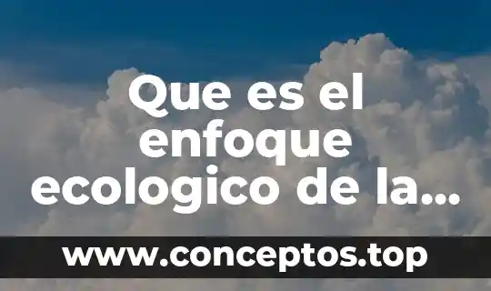Que es el enfoque ecologico de la educacion