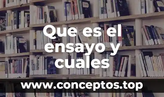 Que es el ensayo y cuales
