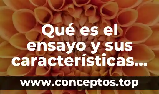 Qué es el ensayo y sus características libros