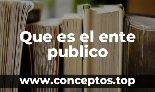 Qué es un ente público de la contraloria 3 Que es el ente publico
