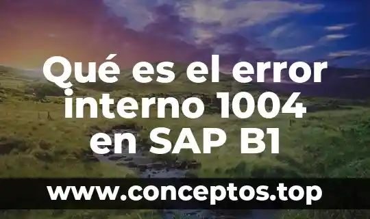 Que es el nombre de la tarjeta habiente 7 Qué es el error interno 1004 en SAP B1