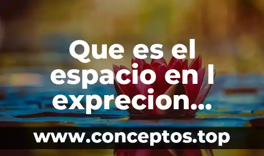 Que es el espacio en l exprecion grafica