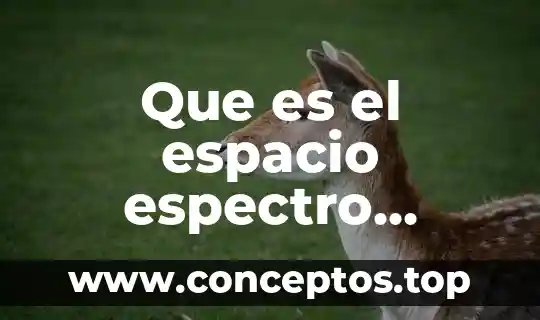 Que es el espacio espectro electromagnetico