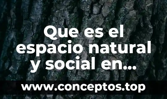 Que es el espacio natural y social en geografia