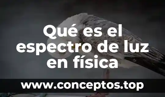 Que es foco en fisica yahoo 5 Qué es el espectro de luz en física