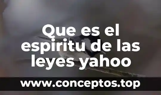 Que es texto apelativo yahoo 3 Que es el espiritu de las leyes yahoo