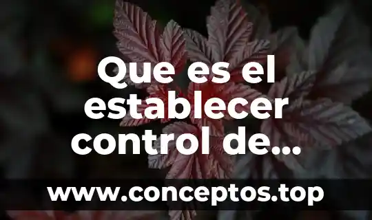 Que es el establecer control de inventarios