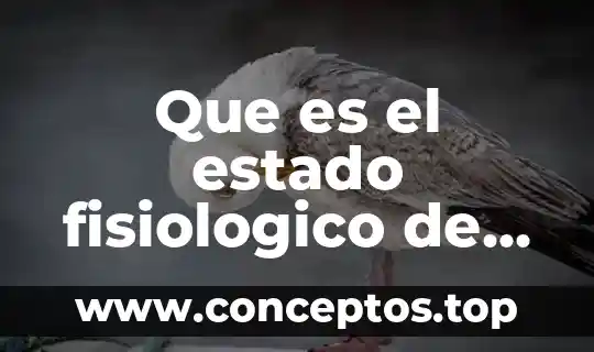 Qué es formato url 7 Que es el estado fisiologico de un animal