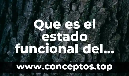 Que es el estado funcional del anciano