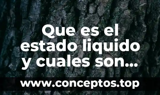 Que es factorizar y cuales son los tipos de factorizacion 7 Que es el estado liquido y cuales son sus propiedades