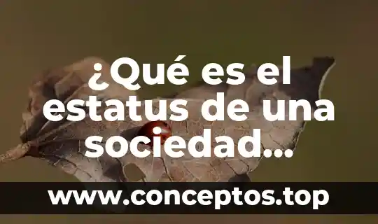 ¿Qué es el estatus de una sociedad mercantil en México?