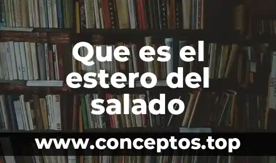 Que es el estero del salado