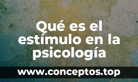 Qué es el estímulo en la psicología