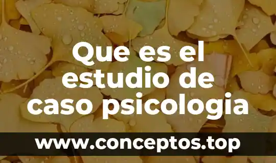 Que es el estudio de caso psicologia
