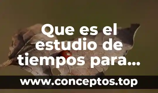 Que es el estudio de tiempos para que sirven