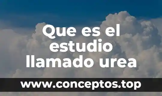Que es el estudio llamado urea