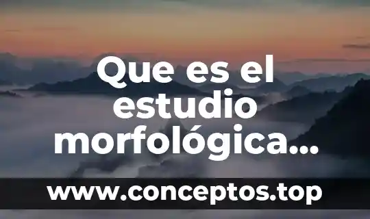 Que es el estudio morfológica hematología