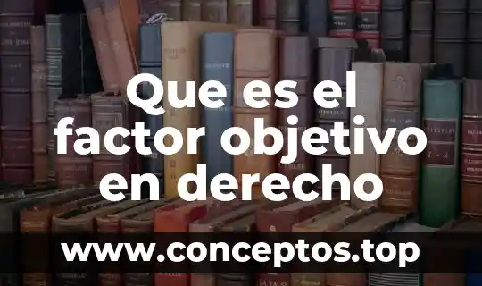 Defina que es una misión una visión y un objetivo 5 Que es el factor objetivo en derecho