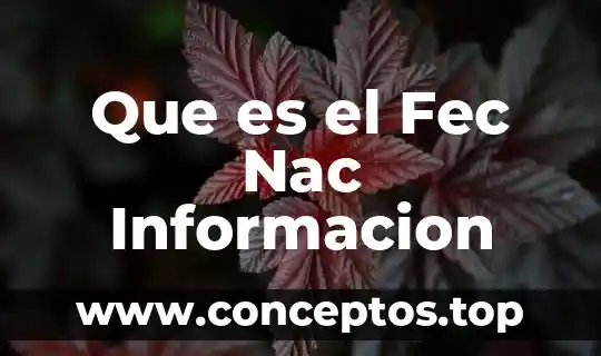 Que es el Fec Nac Informacion