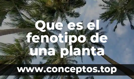 Qué es una planta albahaca 5 Que es el fenotipo de una planta