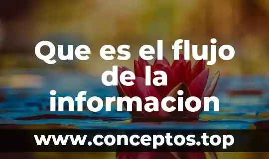 Que es el flujo de la informacion
