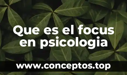 Que es el focus en psicologia