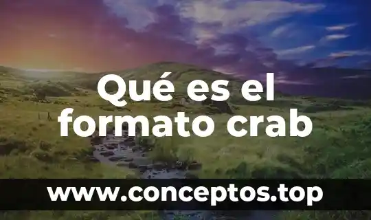 Pará que es el formato de nota de salida 8 Qué es el formato crab