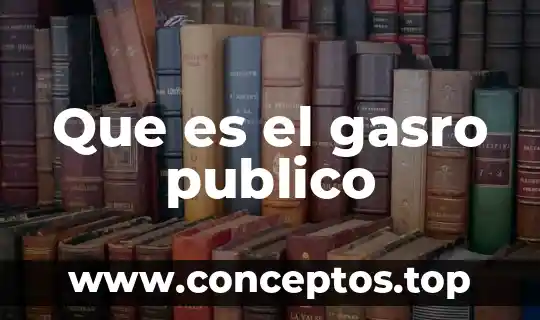 Qué es un nombre público 7 Que es el gasro publico